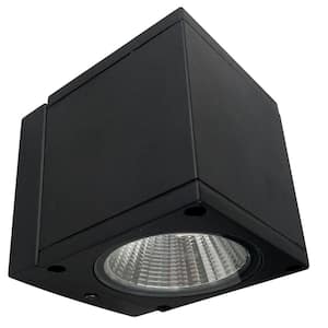 4 in. Black Outdoor Lantern Sconce with Integrated LED