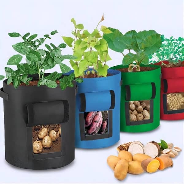 https://images.thdstatic.com/productImages/198d9421-79ce-48d6-abad-8900ff4f73c0/svn/black-green-brown-optional-grow-bags-407661108-64_600.jpg