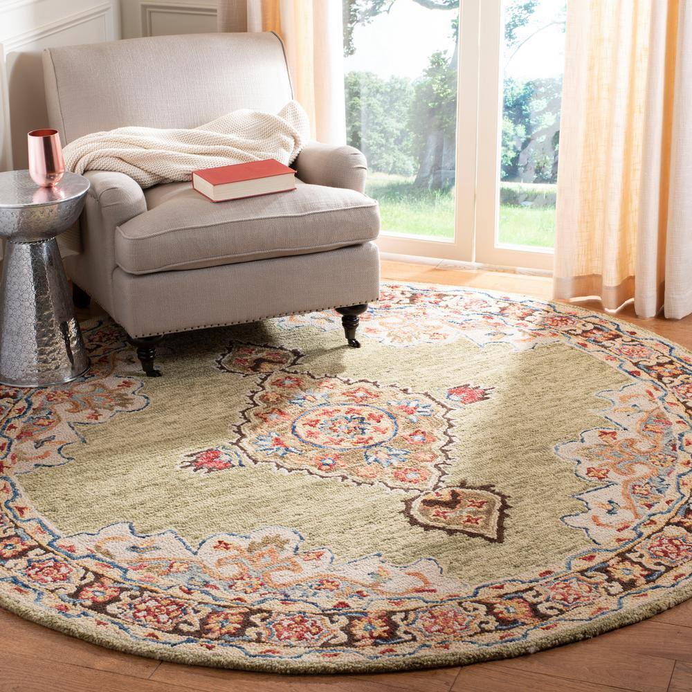 Aspen 5 X 5 Sage/Brown Oriental Round Rug price history on PriceWatchPro