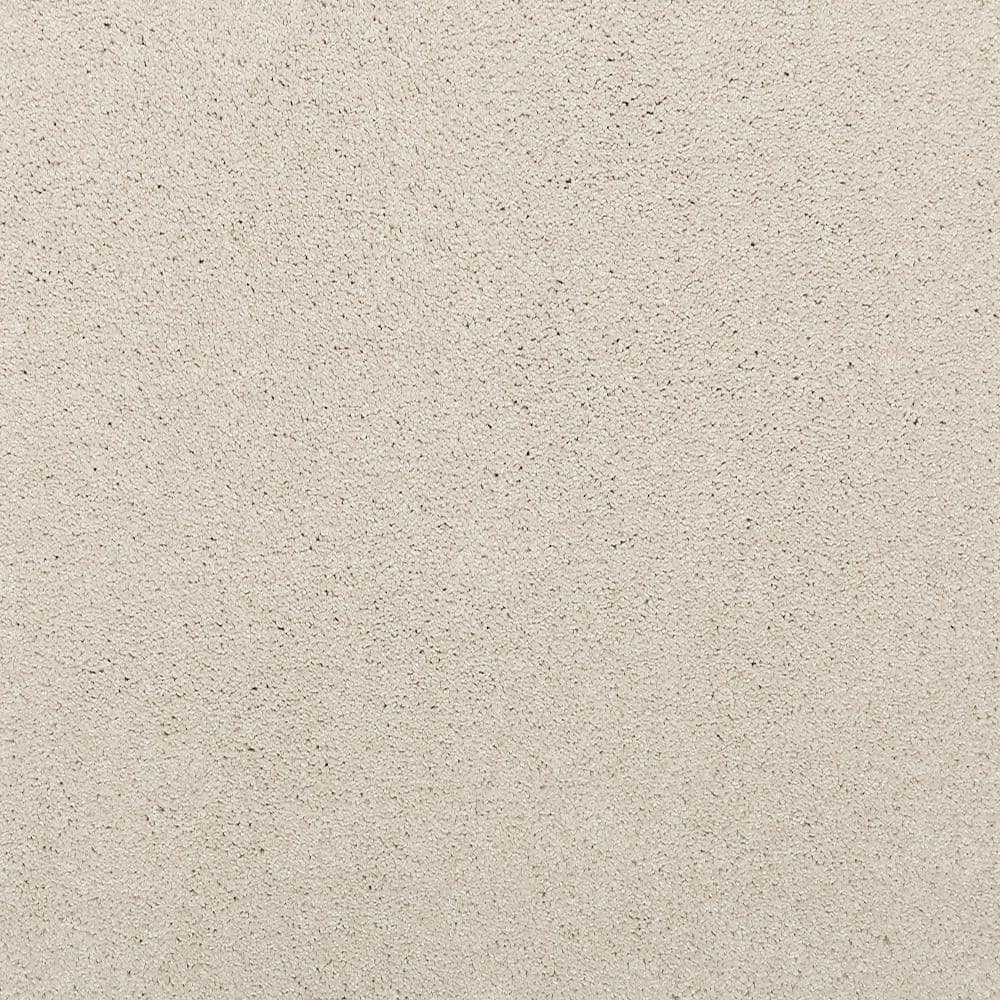 8 in. x 8 in. Texture Carpet Sample - Plush Dreams II -Color Cloud price history on PriceWatchPro