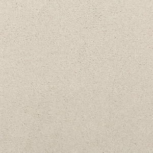 8 in. x 8 in. Texture Carpet Sample - Plush Dreams II -Color Cloud