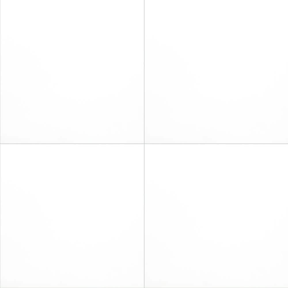 White 24 in. x 24 in. Matte Porcelain Floor and Wall Tile (11.64 sq. ft./Case) price history on PriceWatchPro