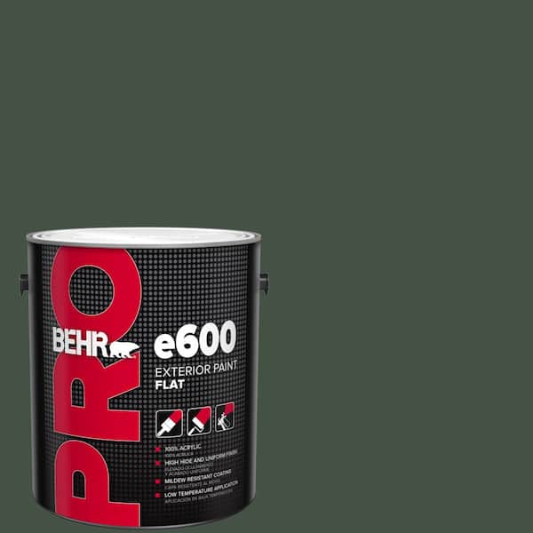 1 gal. #ECC-48-3 Lush Grass Flat Exterior Paint