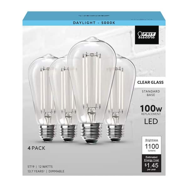 Duplicaat zout Grap Feit Electric 100-Watt Equivalent ST19 Dimmable Straight Filament Clear  Glass Vintage Edison LED Light Bulb, Daylight (4-Pack) ST19100CL/950CA/4 -  The Home Depot