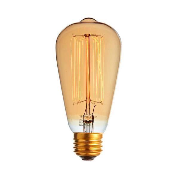 Newhouse Lighting 60-Watt Incandescent ST64 Vintage Bulb