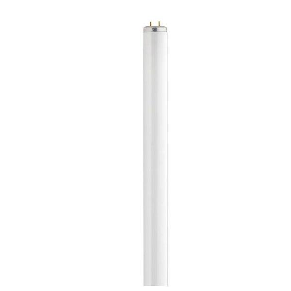 Philips 40-Watt 4 ft. Supreme Linear T12 Fluorescent Light Bulb, Natural (5000K) (720-Pallet)