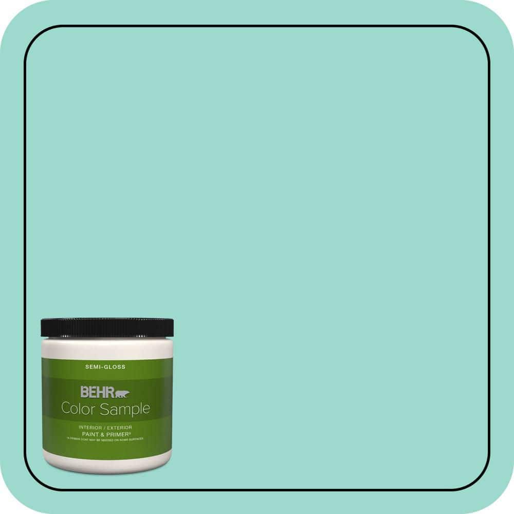 8 oz. #P440-3 Fish Pond Semi-Gloss Interior/Exterior Paint & Primer Color Sample price history on PriceWatchPro