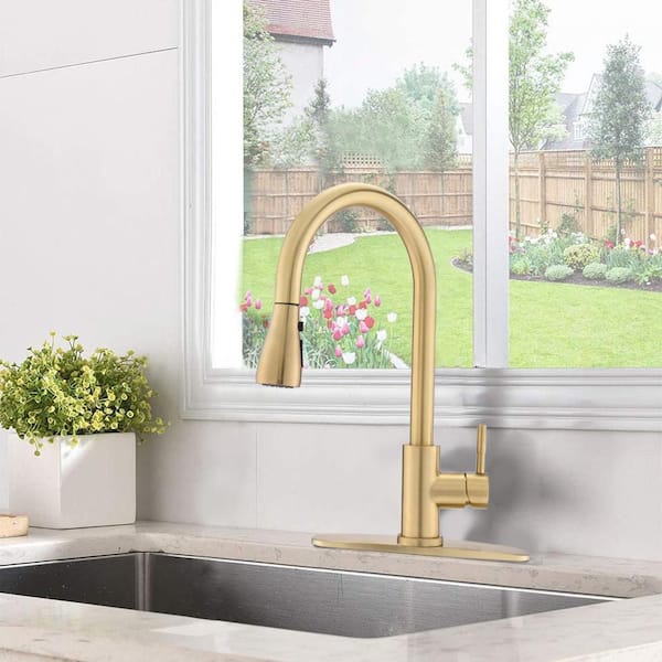 Single-Handle Pull-Down Sprayer Kitchen Faucet Faucet with Button control 360° Spout Swivel Power Clean in Brushed Gold