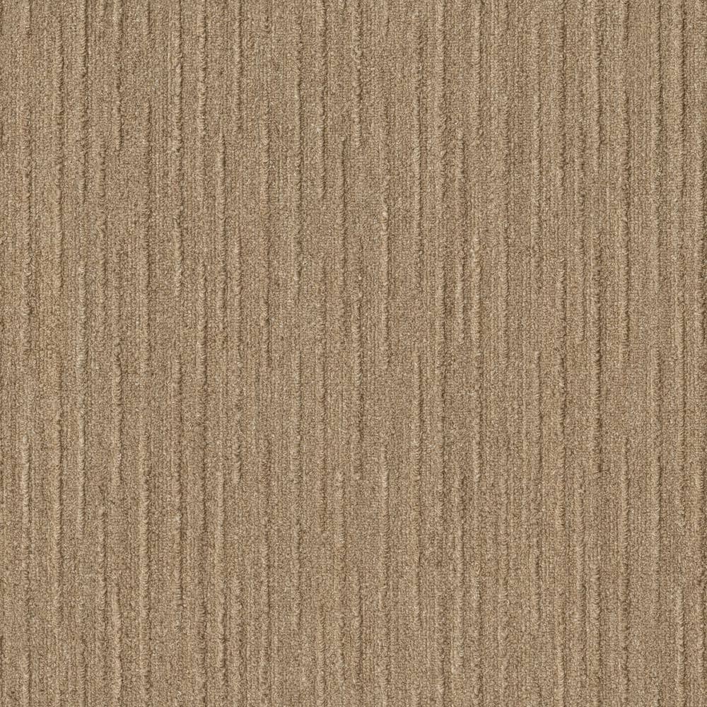 8 in. x 8 in. Pattern Carpet Sample - Port Isabel - Color Warmth price history on PriceWatchPro