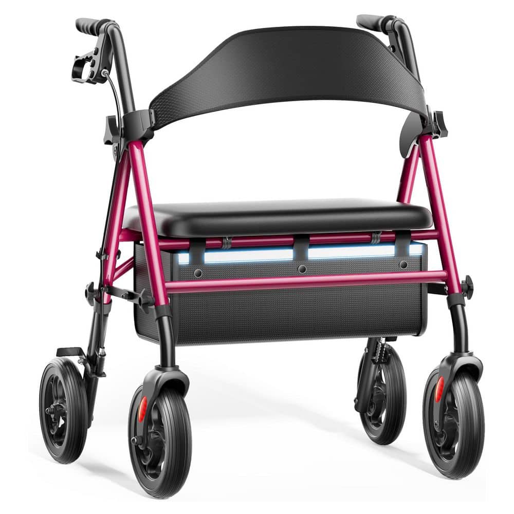 4-Wheel Rollator Walker with Extra Wide Padded Seat, Heavy Duty Foldable Rolling Walker in Black, Dual-Height Adjustable price history on PriceWatchPro