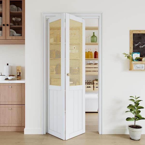 ARK DESIGN 36 in. x 80 in. Paneled Solid Core White Finished Wood