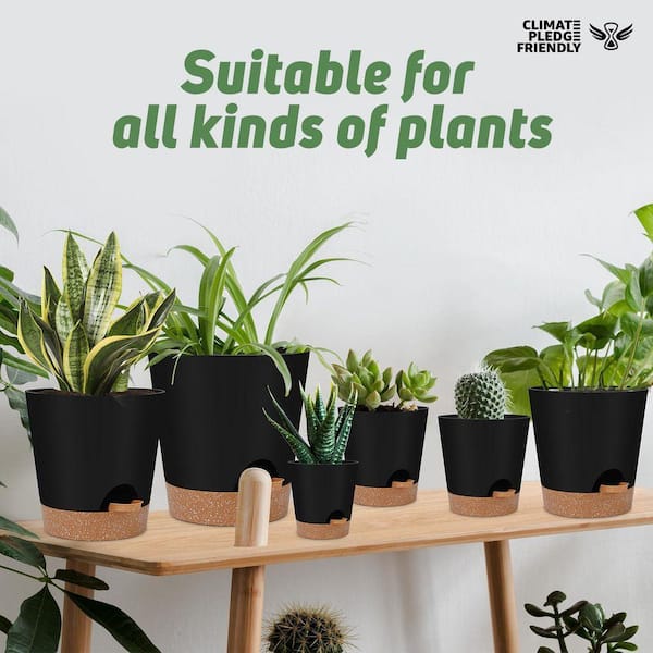 Primehome 6-Piece Self-Watering Plant Pot Set (8,7,6.5,6,5.5,5 Inch) with  Saucers-Plastic Planter with Drainage Holes, Black HD-VANK-PSVS-3 - The  Home Depot