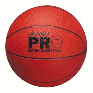 Classic Pro Water Basketball Pool Toy