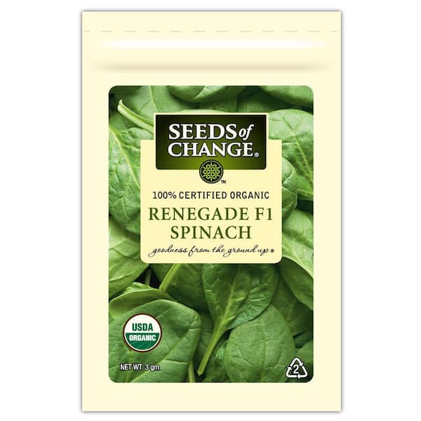 Organic Spinach Renegade F-1 Seed