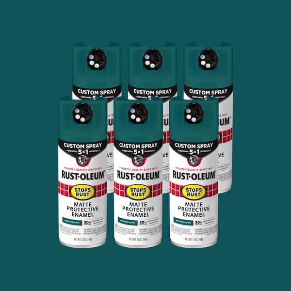 12 oz. Custom Spray 5-in-1 Matte Northern Lights Spray Paint (Case of 6)