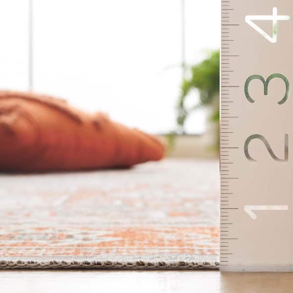 SAFAVIEH Arizona Rust/Sage 9 ft. x 12 ft. Distressed Border Ornate