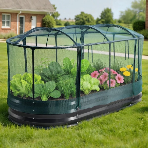 Galvanized Raised Garden Bed, 6 x 3 x 1 ft., Oval Metal Planter Box with Self Watering System and Mesh Cover, Dark Gray
