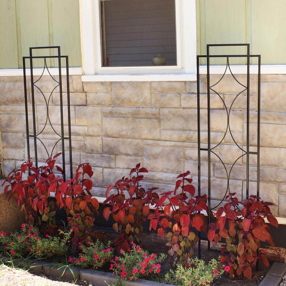 60" Black Steel Diamond Design Garden Trellis Set