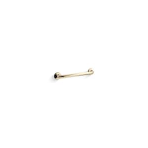 Contemporary 18 in. Grab/Assist Bar in Vibrant French Gold