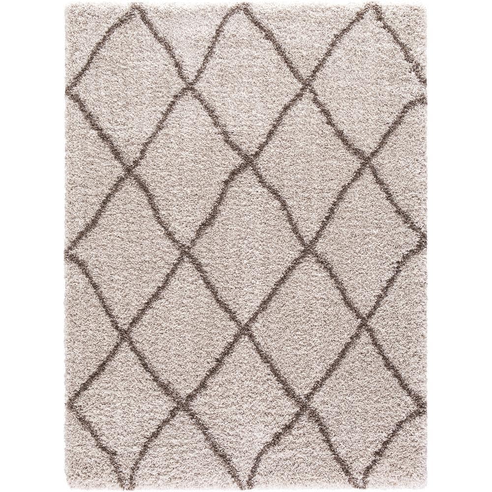Ocean Shag Trellis Beige 3 ft. x 5 ft. Area Rug price history on PriceWatchPro