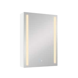 20 in. W x 30 in. H Rectangular Aluminum Medicine Cabinet with Mirror