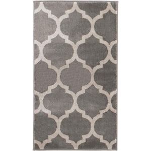 Seyward Grey 2 ft. 7 in. x 4 ft. Accent Rug