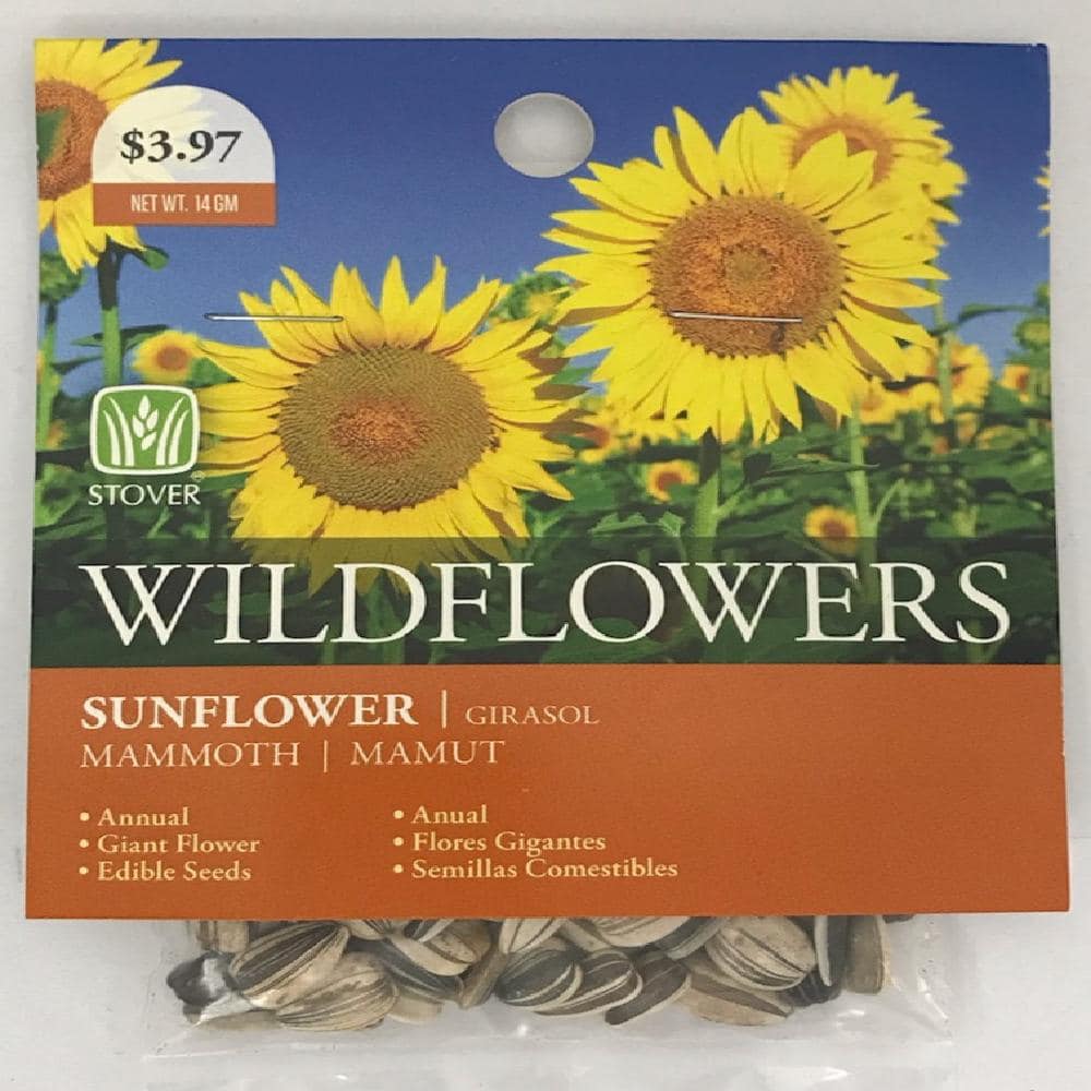 Window Garden Mammoth Sunflower Grow Kit 