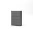 https://images.thdstatic.com/productImages/19ec54d4-a9a7-4f8c-83d9-fbb1786ebb05/svn/gray-tvilum-chest-of-drawers-70329cncn-64_65.jpg