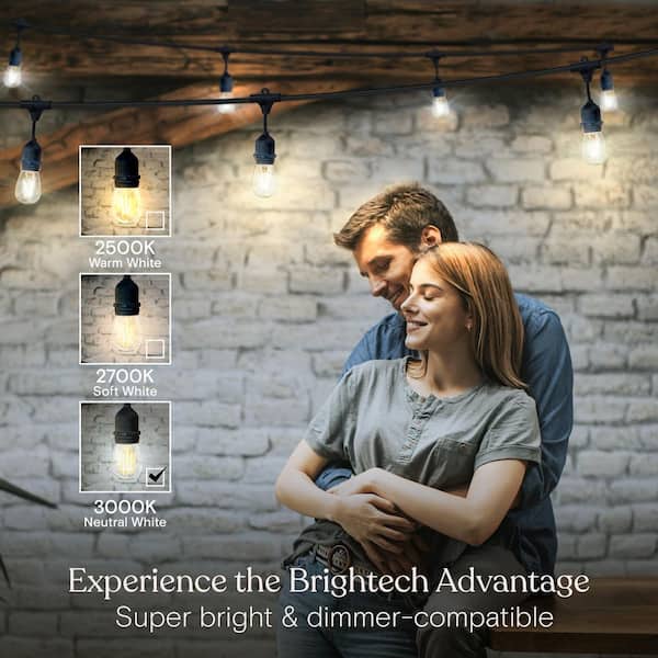 Ambience Pro 7-Light 24 ft. Indoor/Outdoor Plug-in 2W 3000K Neutral White LED S14 Edison Bulb String Lights