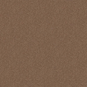Alpine - Kindness - Brown 17.3 oz. Polyester Texture Installed Carpet
