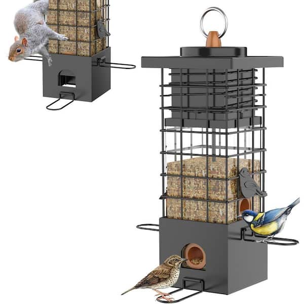 Unbranded - Black Metal 2.5 lbs. Capacity Squirrel Proof Bird Feeder for Wild Bird