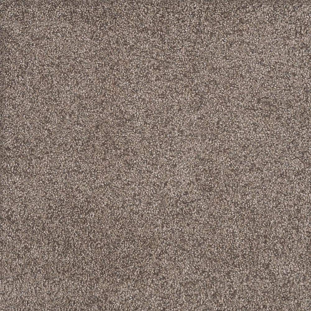 8 in. x 8 in. Texture Carpet Sample - Topaz I - Color Jaybird price history on PriceWatchPro