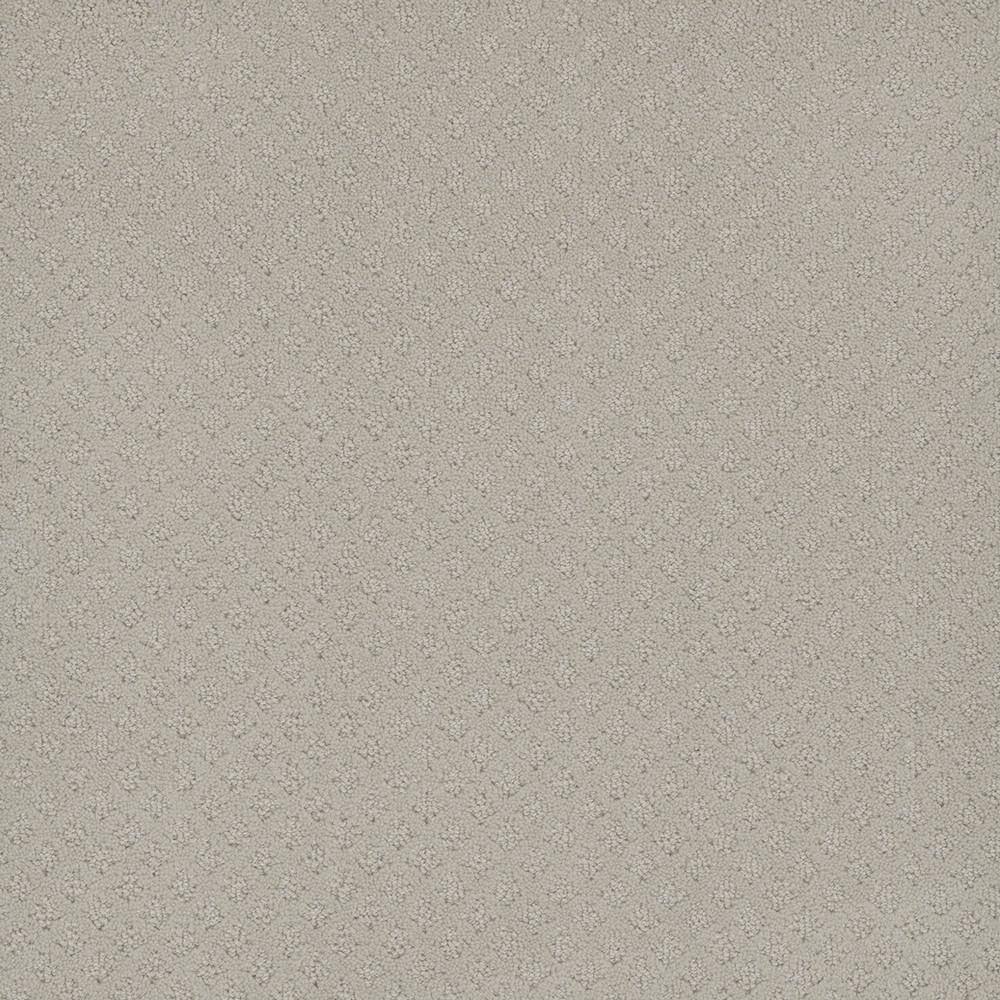 8 in. x  8 in. Loop Carpet Sample - Camelia Lane -Color Poland price history on PriceWatchPro