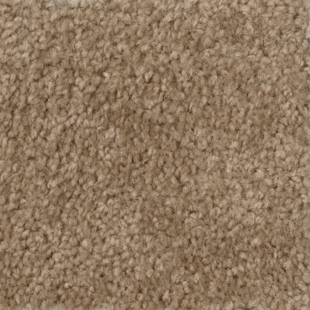 TrafficMaster Hot Shot II - Tuscan - Beige 12 ft. 16 oz. SD Polyester Texture Full Roll Carpet (1080 sq. ft./Roll), 402 Tuscan
