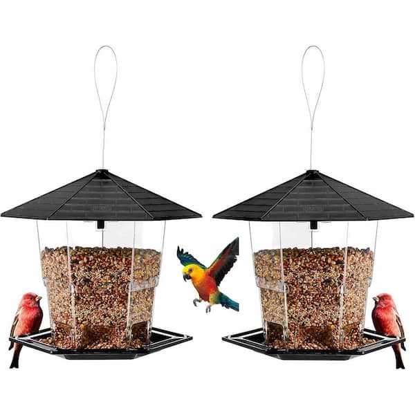 Outdoor Hanging Bird Feeder Black 2-Pack Bird Seed Feeder