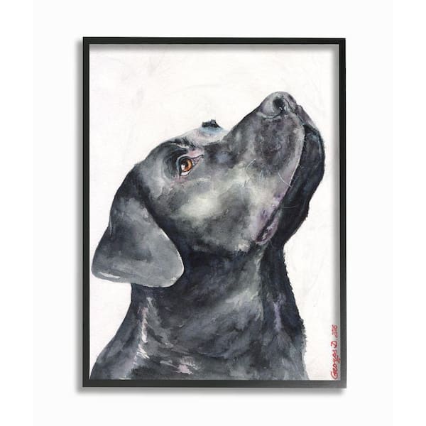16 in. x 20 in. "Black Labrador Dog Pet" by George Dyachenko Framed Wall Art