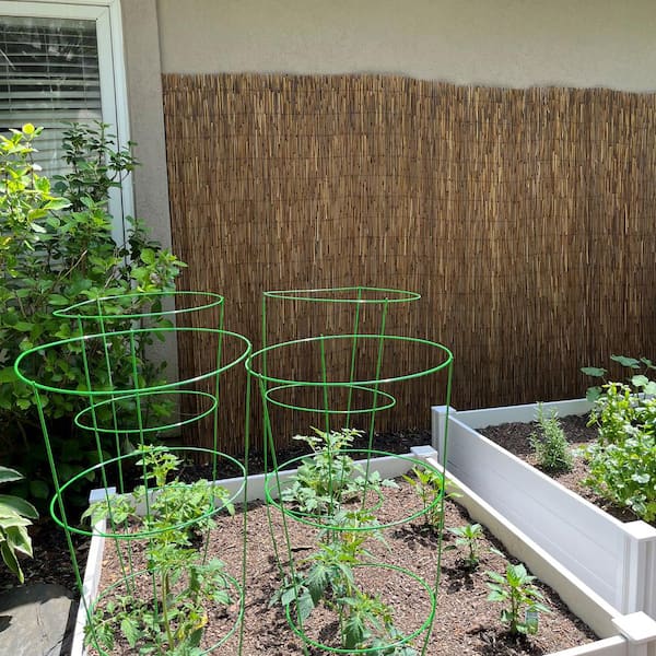 Vigoro 6 ft. H x 16 ft. W Natural Reed Fencing 4477412 - The Home Depot