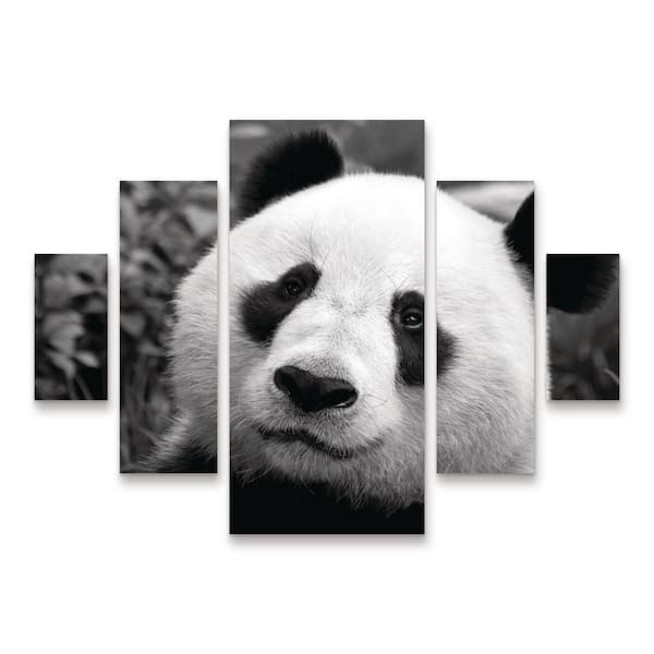Trademark Fine Art SD Smart Giant Panda 5-Piece Panel Set Unframed Photography Wall Art 34 in. x 44 in.