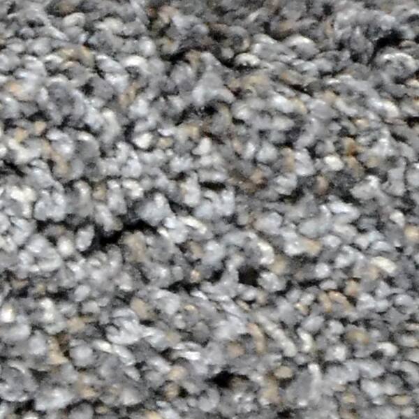 Home Decorators Collection Carpet Sample - Great Moments I (T) - Color Wind Song Texture 8 in. x 8 in.