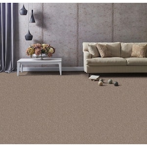Founder - Leader - Brown 18 oz. SD Polyester Texture Installed Carpet