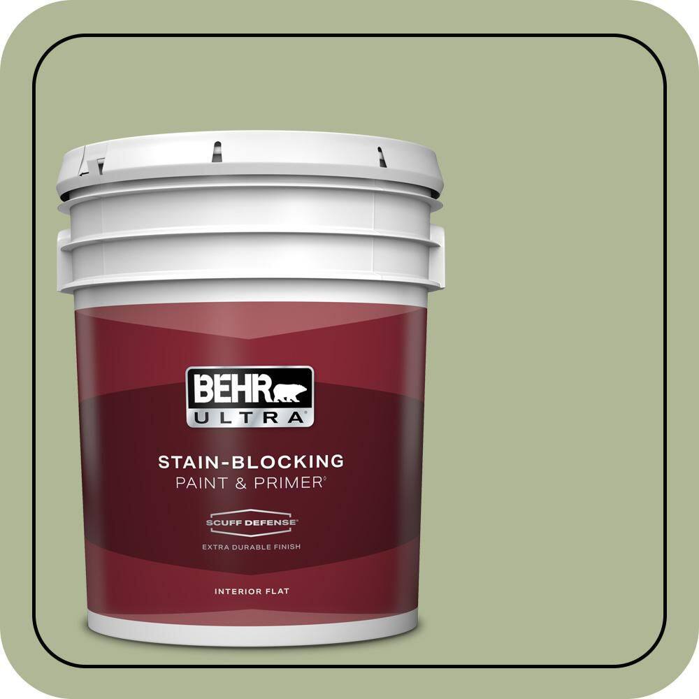 5 gal. #PPU11-08 Moss Print Extra-Durable Flat Interior Paint & Primer price history on PriceWatchPro