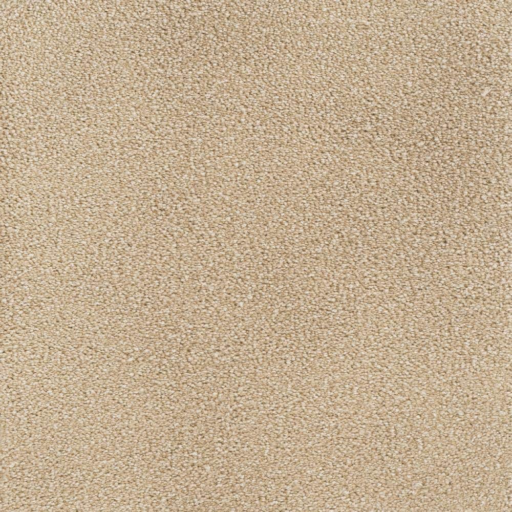 8 in. x  8 in. Texture Carpet Sample - Spicework II -Color Cambridge price history on PriceWatchPro