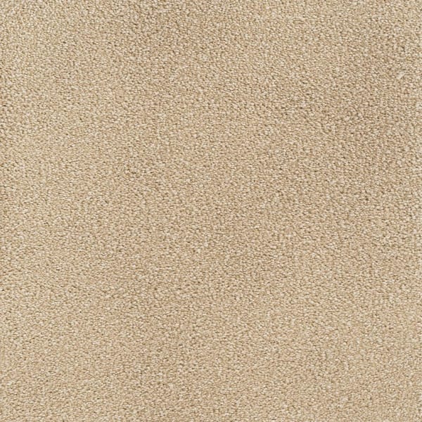 Home Decorators Collection Spicework II  - Cambridge - Beige 60 oz. SD Polyester Texture Installed Carpet