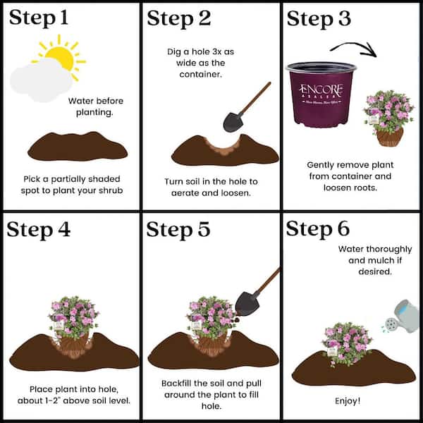 Have a question about Encore Azalea 2 Gal. Autumn Carnation Shrub