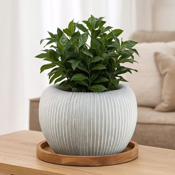 Nios 13.5 in. White Resin Round Decorative Vase