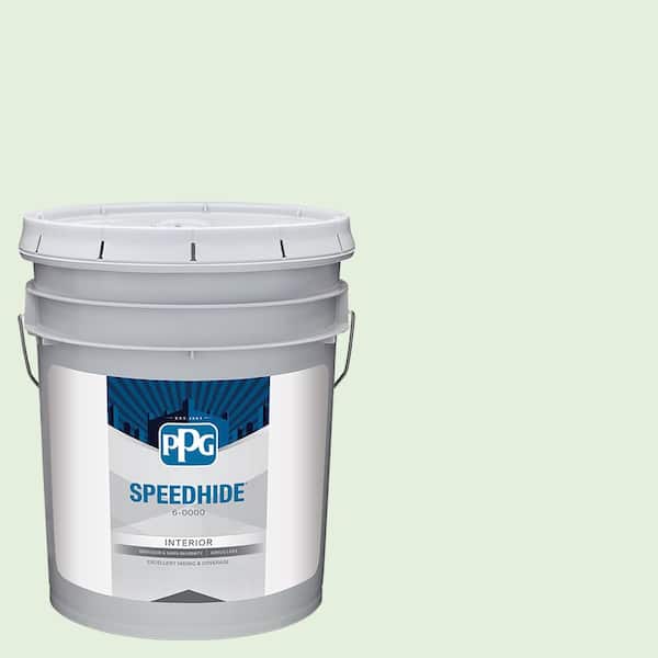 SPEEDHIDE 5 gal. PPG1224-3 Chilled Mint Semi-Gloss Interior Paint