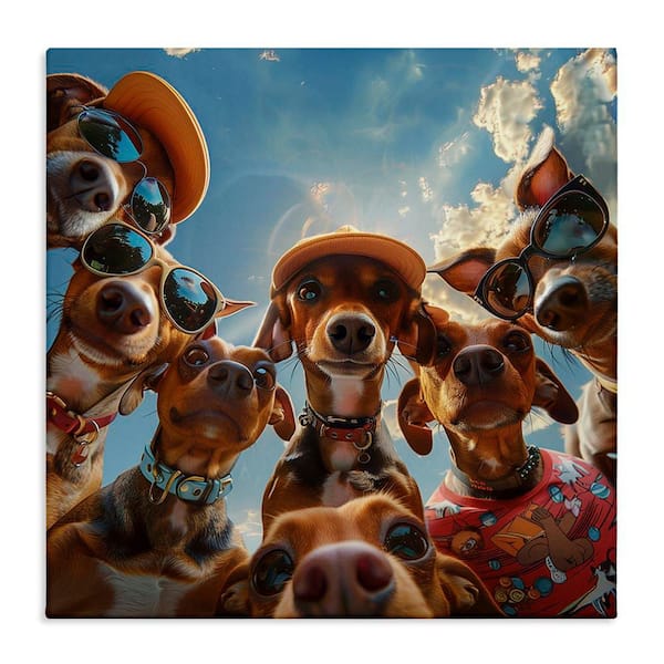 Funny Wiener Dog Selfie by Jim Baldwin Unframed Animal Graphic Art Print 24 in. x 24 in.
