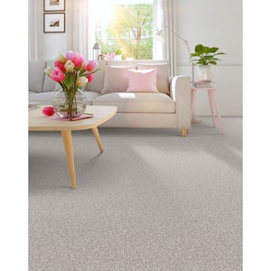 River Rocks III - Color Sheer White Indoor 12 ft. Texture Beige Carpet