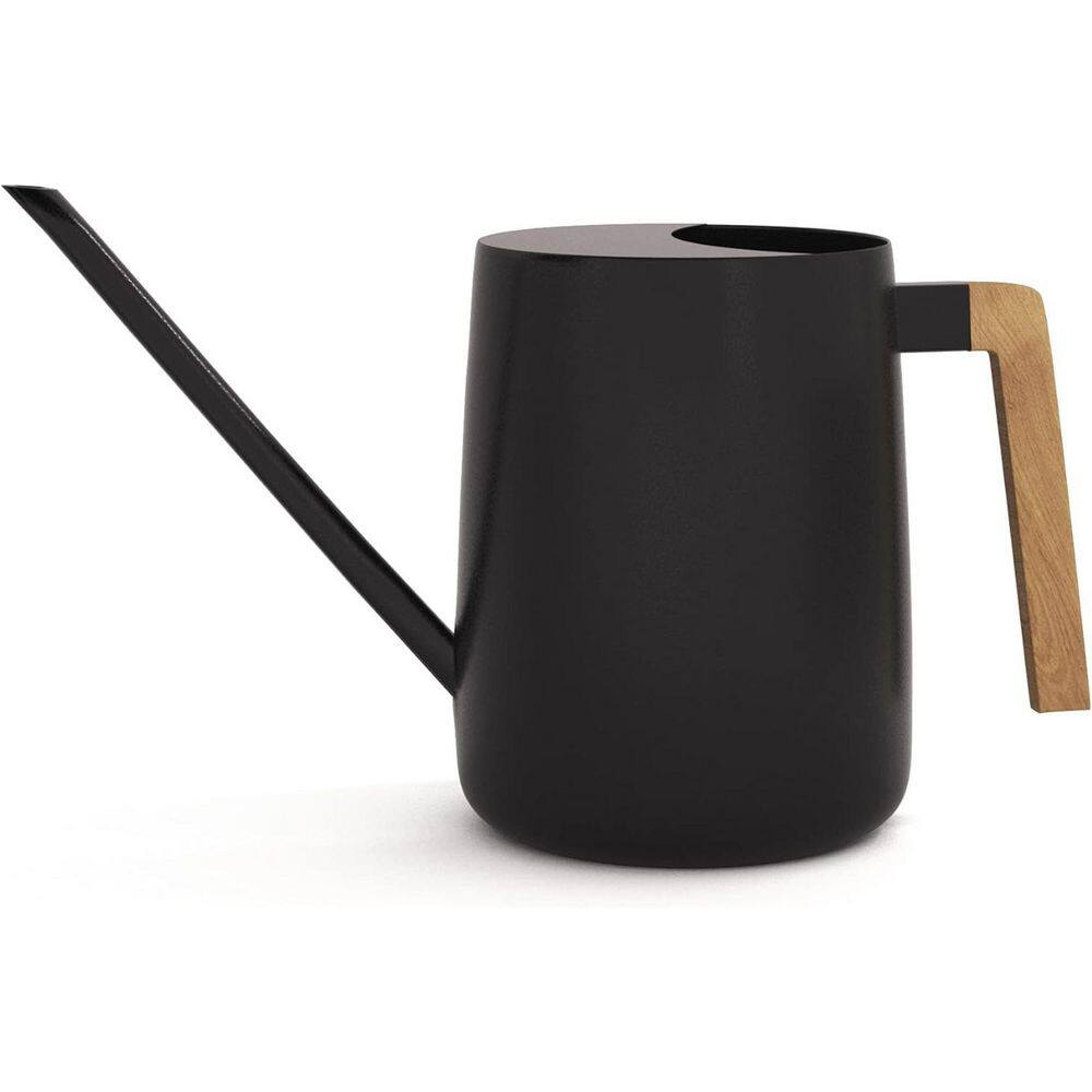 35 Ounce Metal Small Indoor Watering Can price history on PriceWatchPro