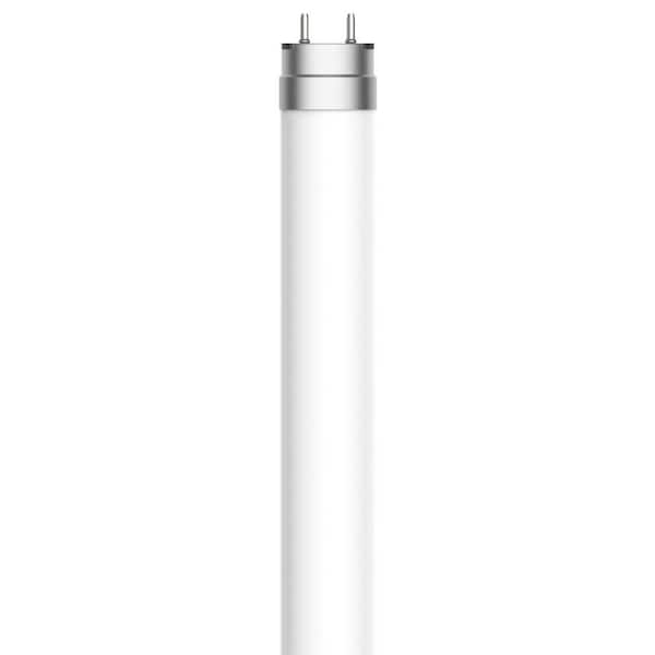 32.0-Watt Equivalent T8 48 in. LED tube Daylight Deluxe Non Dimmable Bulb 20-Pack